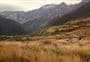 Dickie Spur Hut