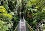 Everett Park Scenic Reserve walk