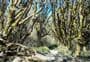 Routeburn Nature Walk