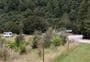Lyell Campsite