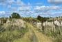 Puhoi to Remiger Road Track