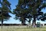 Rarangi Campsite