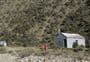 Manuka Hut