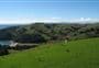 Stony Batter Historic Reserve walks