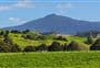 Mount Tutamoe Track