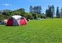 Motuihe Island Campsite