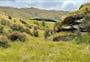 Rockvale Track