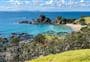 Motutara Recreation Reserve Walk