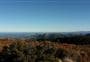 Richardson Track