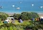 Motuora Island Campsite
