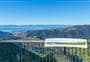 Hawkes Lookout Walk