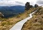 Hump Ridge Track
