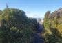 Stratford Plateau Lookout