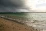Motuora Island walks