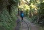 Karangahake Windows Walk