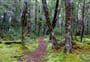 Borland Nature Walk
