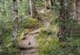 Glacier Burn Track