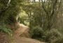 Outram Glen to Lee Stream Walk