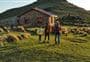 Packhorse Hut