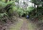 Tramline Track