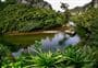 Pororari River Track