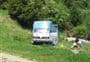 Danseys Pass Campsite
