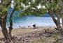 Pipi Beach Campsite