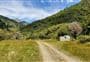 Bottom Gordon Hut