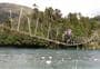Toaroha, Hokitika, Lower Whitcombe Track