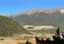 Lake Rotoiti (West Bay) walks