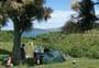 Matiu/Somes Island Campsite