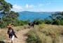 Motuihe Island tracks