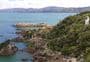 Matiu/Somes Island Loop Track