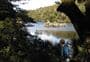 Manuoha to Waikareiti Track