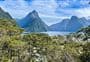 Milford Sound Lookout Track