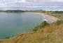 Puriri Track 