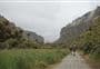 Punakaiki – Pororari Loop