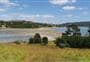 Motukiore Island Walk