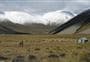 Top Hut