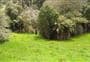 Johnsons Campsite