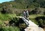 Waiharakeke Bay Campsite