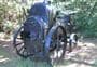 Whangaparapara: Old Mill Track