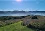Ōtamahua/Quail Island tracks
