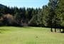 Wooded Gully Campsite