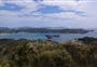 Whangaruru North Head walking tracks