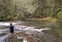 Catlins River Track