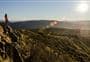 Grahams Bush Walkway