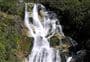 Carew Falls Track