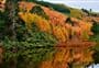 Munro’s Gully Track