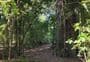 Elsthorpe Scenic Reserve Loop Track